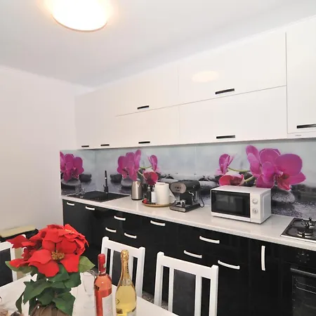 Casa Alexa Holiday home Sinaia